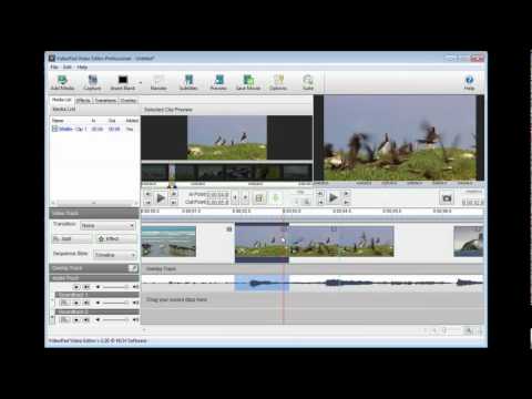 how to add main title to video in nch videopad video editor how to add main title to video in nch videopad video editor