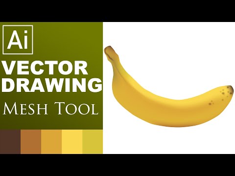 Vector Drawing with Mesh Tool in Illustrator 2020. Illustrator Lessons 11