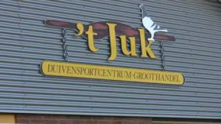 preview picture of video 'Duivensportcentrum 't Juk Borne'