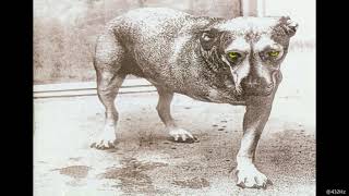 Alice In Chains - Head Creeps (432 Hz)