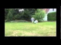 Romeo and Julia - Die Parodie 