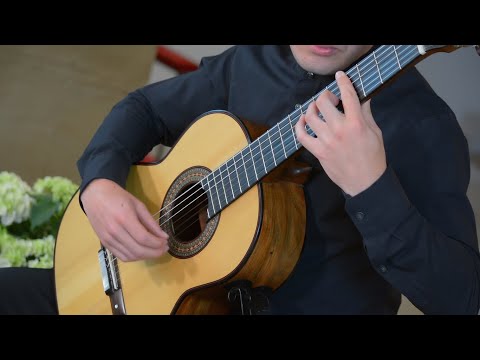 Francisco Tárrega - Recuerdos de la Alhambra played by Noah Plota