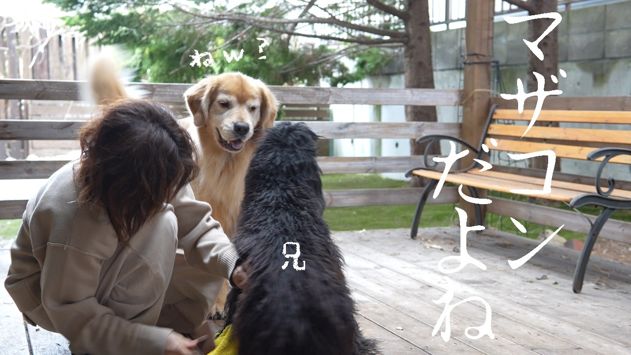 マザコンの兄をいじりたい弟犬