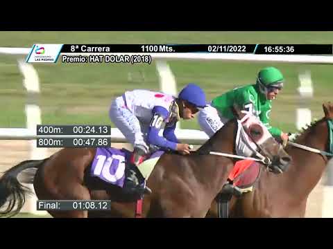 221102 c08 - BILLY JOEL - HIPODROMO LAS PIEDRAS