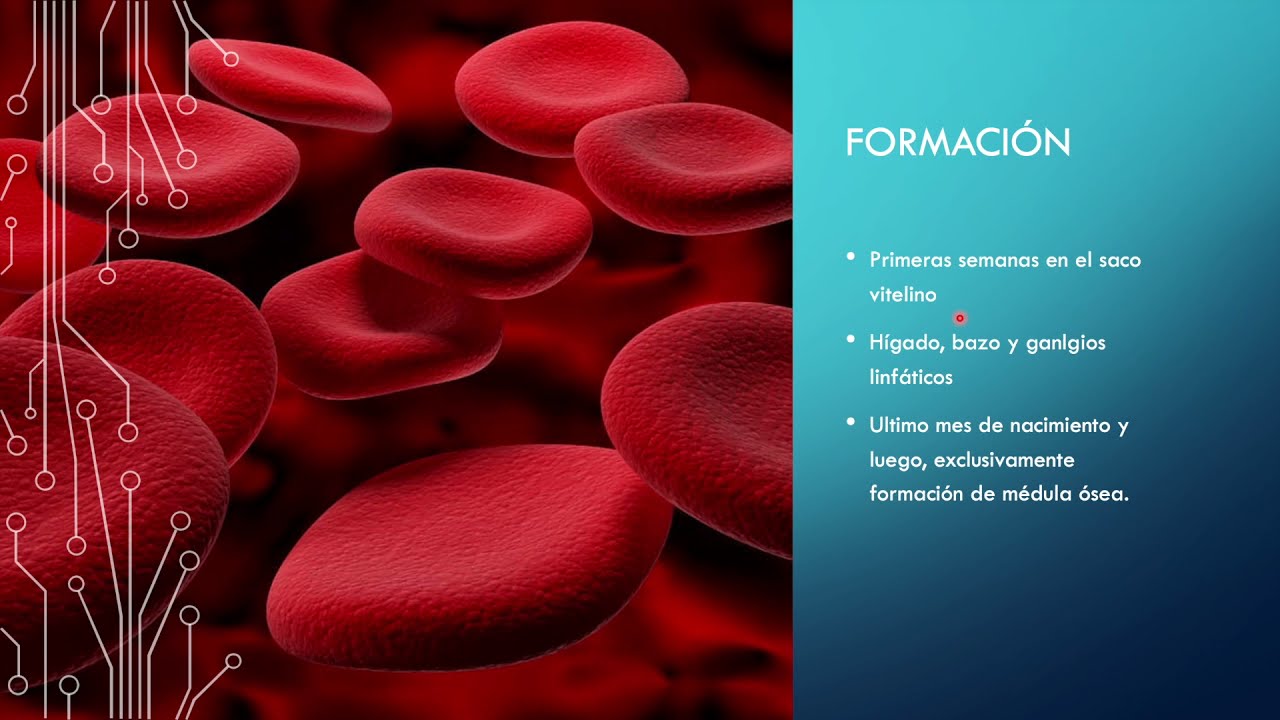 FISIOLOGÍA de la SANGRE | GUYTON | ERITROCITOS