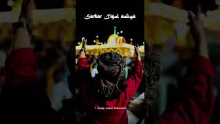Download lagu Baba tajuddin new status baba taj status #chiraguddin #viral #tranding #shorts mp3