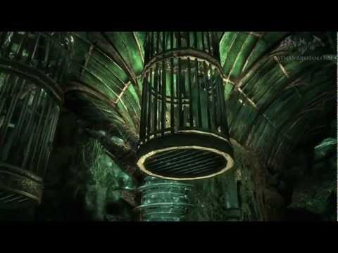 Batman: Arkham Asylum Walkthrough Part 38 - Trapped in the Aviary