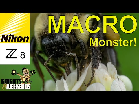 Nikon Z8 for MACRO Photography
