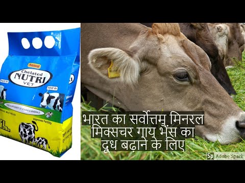 Nutrivet chelated mineral mixture cattle powder, packaging s...