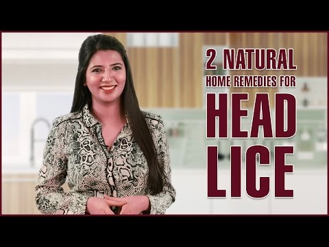 HOW TO GET RID OF HEAD LICE & Nits – Natural Treatments & Removal