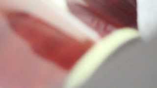 Kim Singer Covers Dave Barnes &quot;Loving You, Loving Me.&quot;