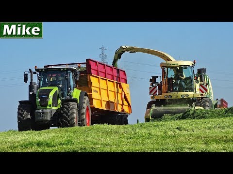 Grass silage 2018 | *NEW* Claas Axion 920 + Krone Big X | Nikkels | Gras hakselen | NL.
