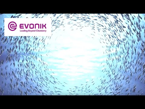 Attractive businesses, an extensive product portfolio, an ability to innovate. As a leading specialty chemicals company, we make life better on a daily basis—that is to say, more convenient, more practical, and safer.