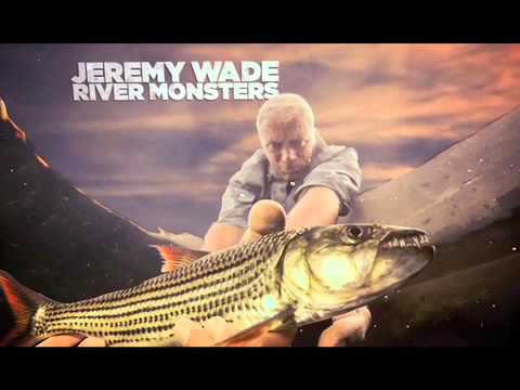 ANIMAL PLANET MASTERS OF THE JUNGLE PROMO