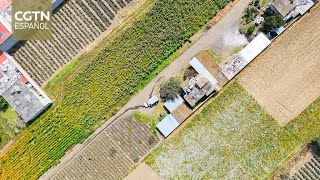 La inteligencia artificial optimiza el uso eficiente del agua en el sector agrícola mexicano