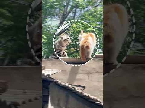 Now what’s going to happen next 😼