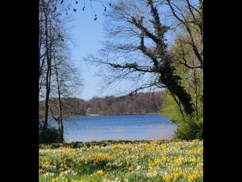 DLL 5 Finale - Voyage to an injured substance.