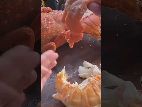 Ultimate Guide to Cooking with Shrimp.