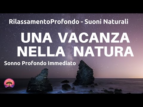La Vacanza Nella Natura - Dormire Profondamente Con Suoni Naturali - Viaggio Rilassante - ASMR