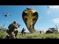 King Cobra Ready To ATTACK Full DANGER Mode Jurassic Revival YOUKU MONSTER MOVIE
