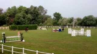 Unanette W e: Neckar - Goodtimes  2001 Till Salu!! Hopptävling 115 regional. Maila info@zeniou.nu