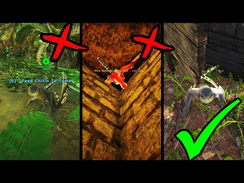 Ark Best and Fastest Sinomacrops tame method (100% STILL WORKING 2022)