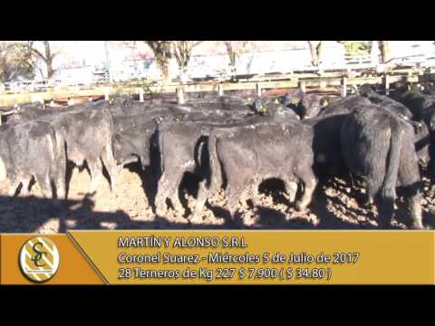 05-07-17 Venta Machos - Martín y Alonso - Coronel Suárez