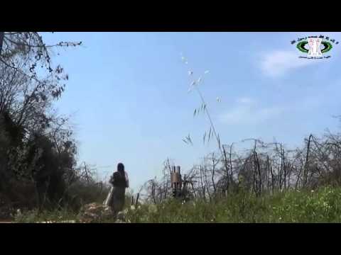 استهداف مقرات النظام في كفرية والزوبار براجمة الصواريخ من قبل لواء أحباب الله في اللاذقية