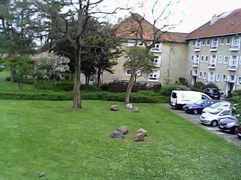 MongoTV_422 - Part 2 - Mongo Drones Testcenter - TEST Of 1 MP Camcorder On HT803 Micro Drone