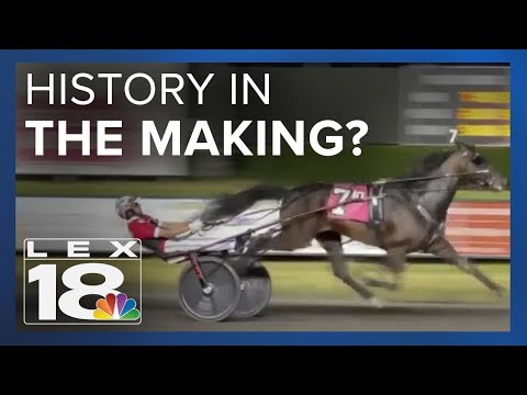 See a possible world record in harness racing at the Red Mile this weekend