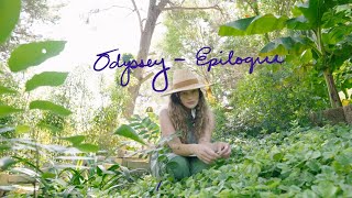 Odyssey - Epilogue