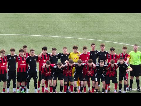 Fk Čukarički 2011- Fk Csikszereda Romania 2011