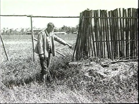 November 21, 1944: The "airman murder" of US First Lieutenant and US Sergeant Couch