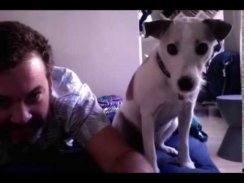 phannie watching dog scene in tenebre