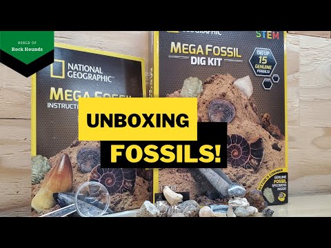 DESEMPAQUETADO: Kit de excavación de fósiles Nat-Geo Mega