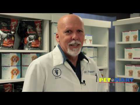 Vetmedin- Heart Medication for Dogs