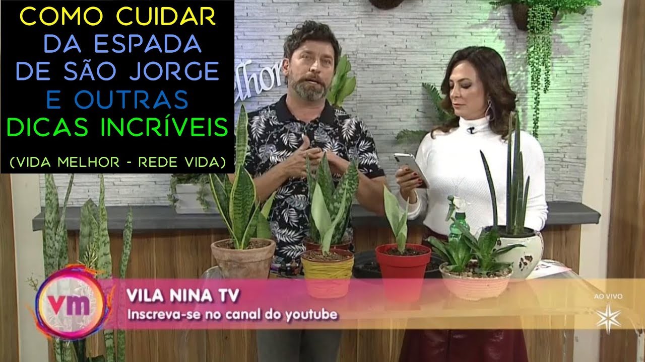 Como Cuidar da Espada de São Jorge e Outras Dicas Incríveis ao Vivo no Vida Melhor