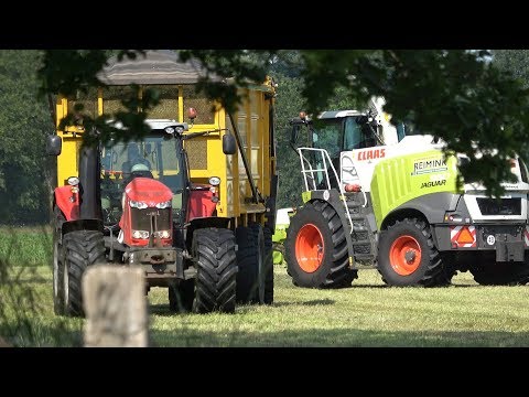 Loonbedrijf Reimink met Claas Jaguar 950 Dynamic Power aan het gras hakselen (2019)