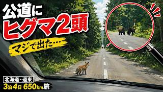 カーナビを信じて山奥へ…公道でヒグマ2頭に遭遇【北海道・道東3泊4日650kmドライブ旅】