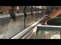 Gaomi Rongda Machinery Co Ltd Alibaba