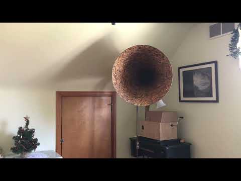 Moonlight and Roses - Ray Miller and His Orchestra - 1925