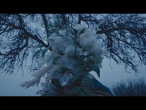 Radzias - HOODIE  (OFFICIAL VIDEO)