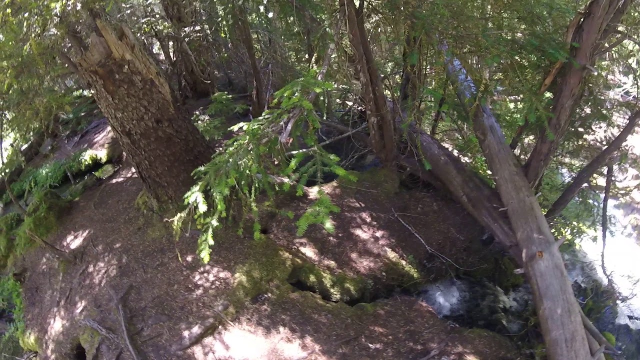 Video of Clearwater Falls Campground, OR from Tj B.