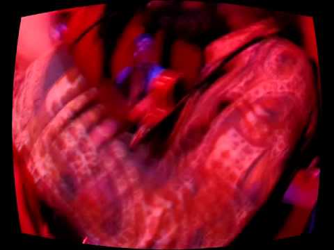 LES SYNAPSES "Souris" live in Cologne - November 7th, 2015 - SAM 0019