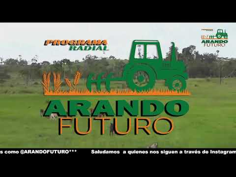 ARANDO FUTURO 12 AGOSTO 2023