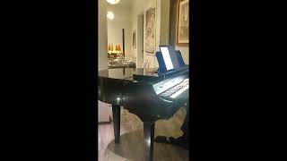 Pianista e organista Ivan video preview