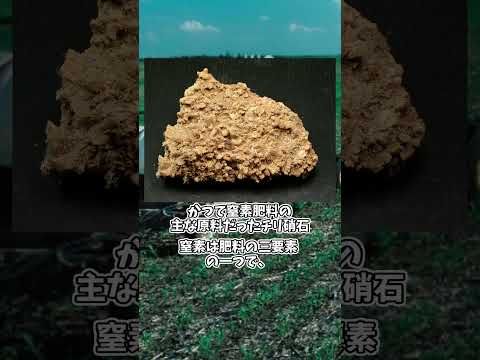 D1A: 重大な即時影響を伴う非常に有毒な物質