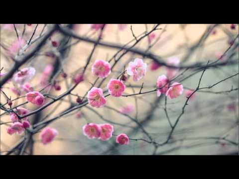 İlhan  İrem  -  Sazlıklardan Havalanan