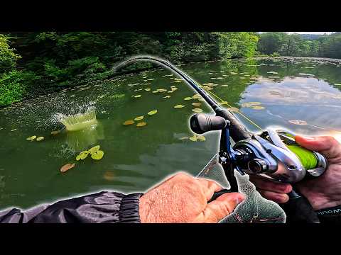 Toto je moje poslední šance chytit metrovou štiku. Co se stalo jsem ale nečekal! ft. @majk.fishing