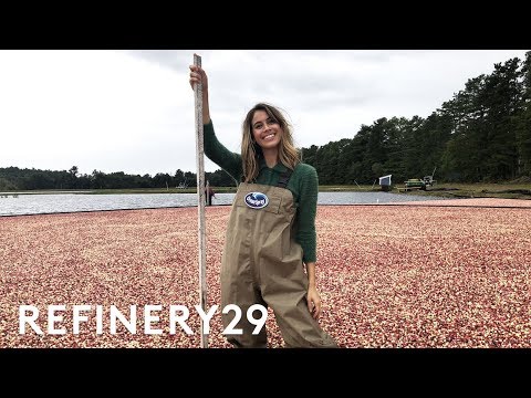 I Worked As A Cranberry Farmer For A Day | Lucie For Hire | Refinery29